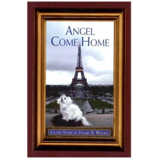 Angel Come Home