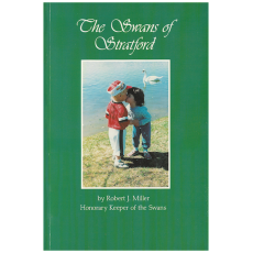 The Swans of Stratford