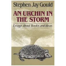 An Urchin in the Storm: Essays About Books and Ideas